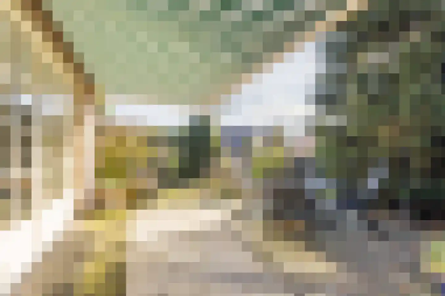 Kon Wilhelminaweg 24 Amerongen thumbnail 68