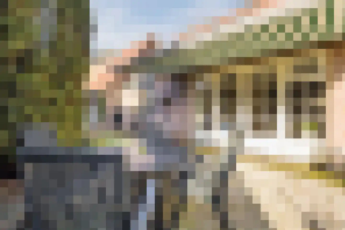 Kon Wilhelminaweg 24 Amerongen thumbnail 69
