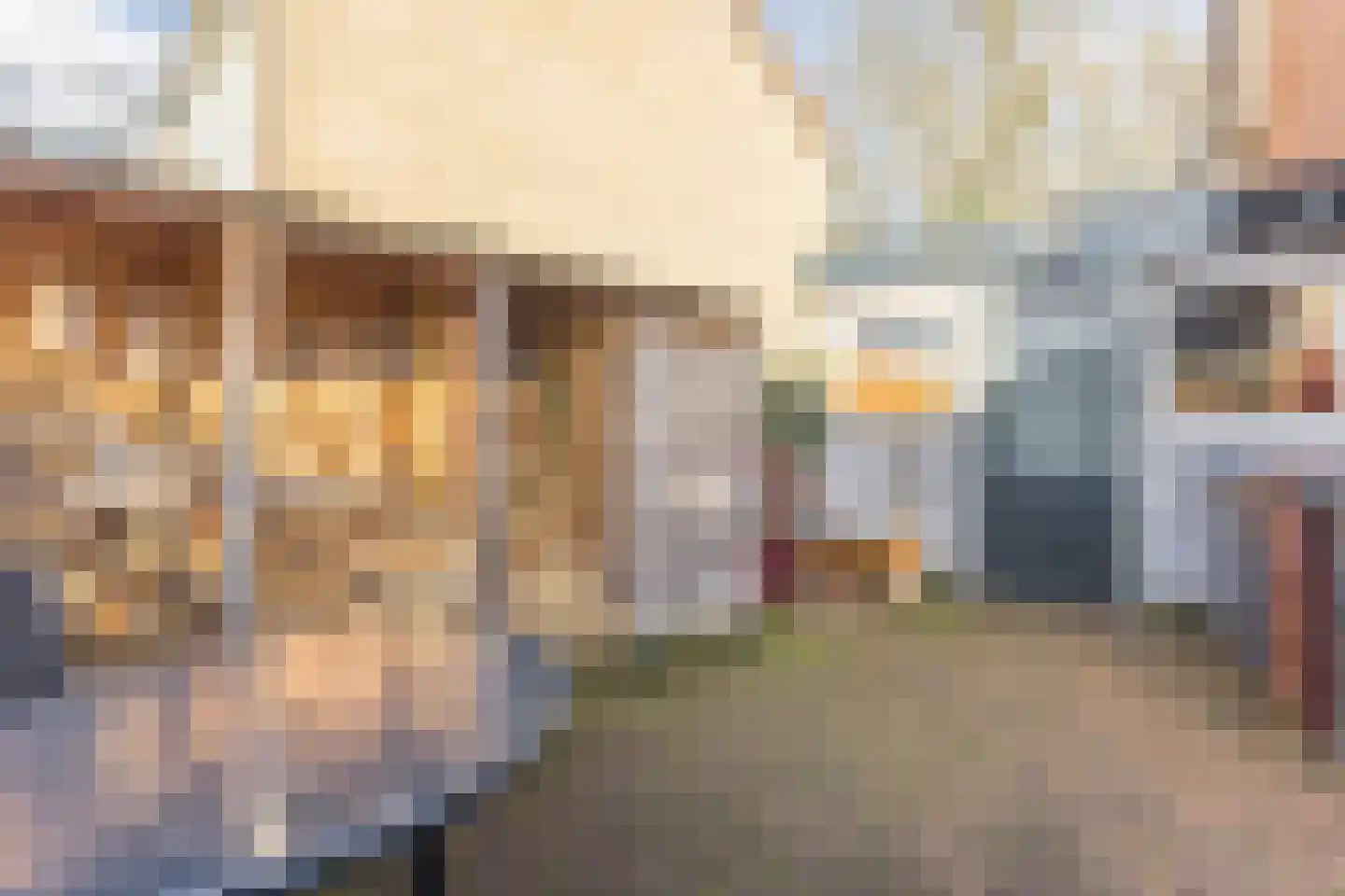 Kon Wilhelminaweg 24 Amerongen thumbnail 73
