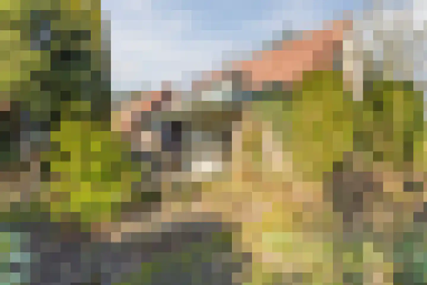 Kon Wilhelminaweg 24 Amerongen thumbnail 74