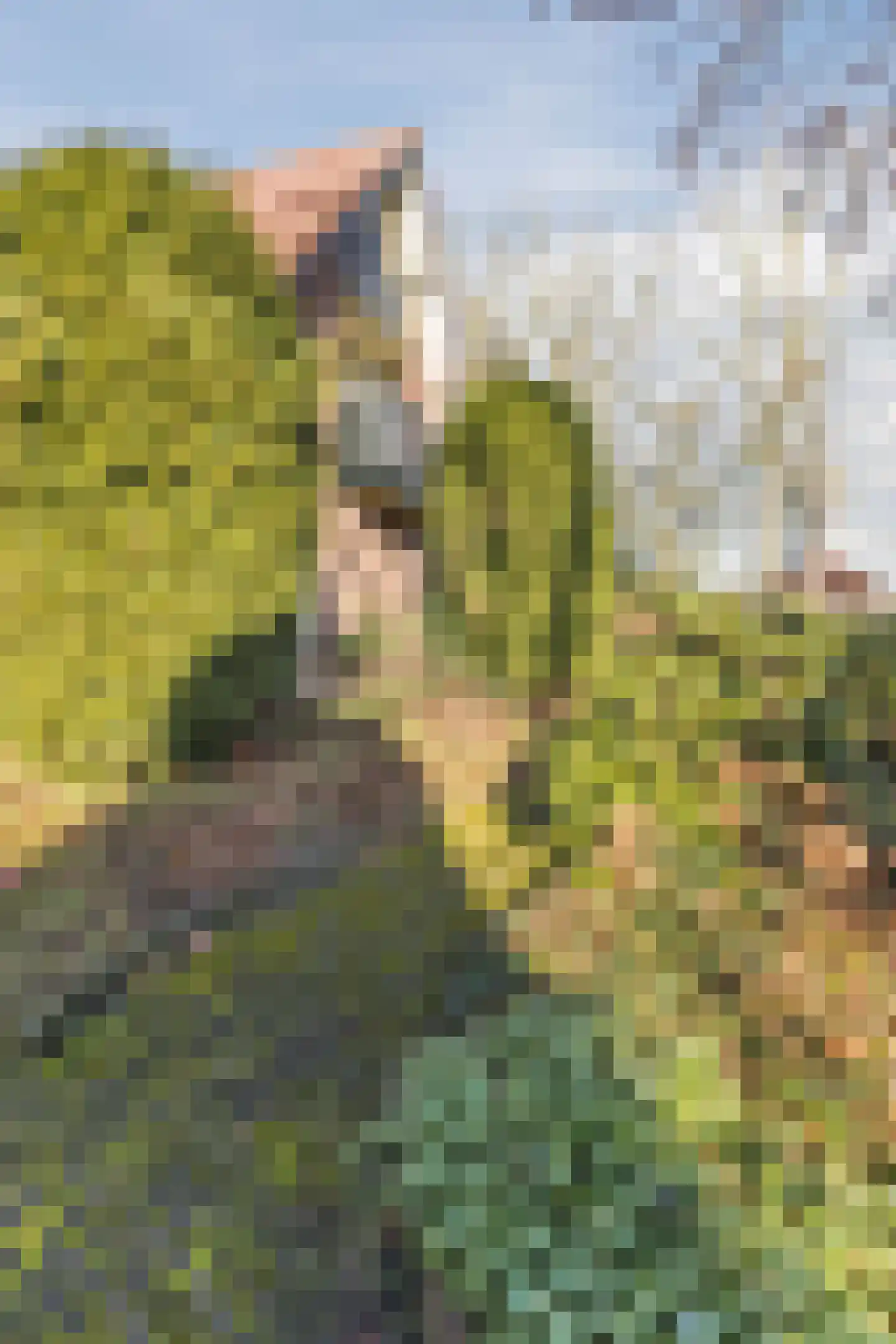 Kon Wilhelminaweg 24 Amerongen thumbnail 75