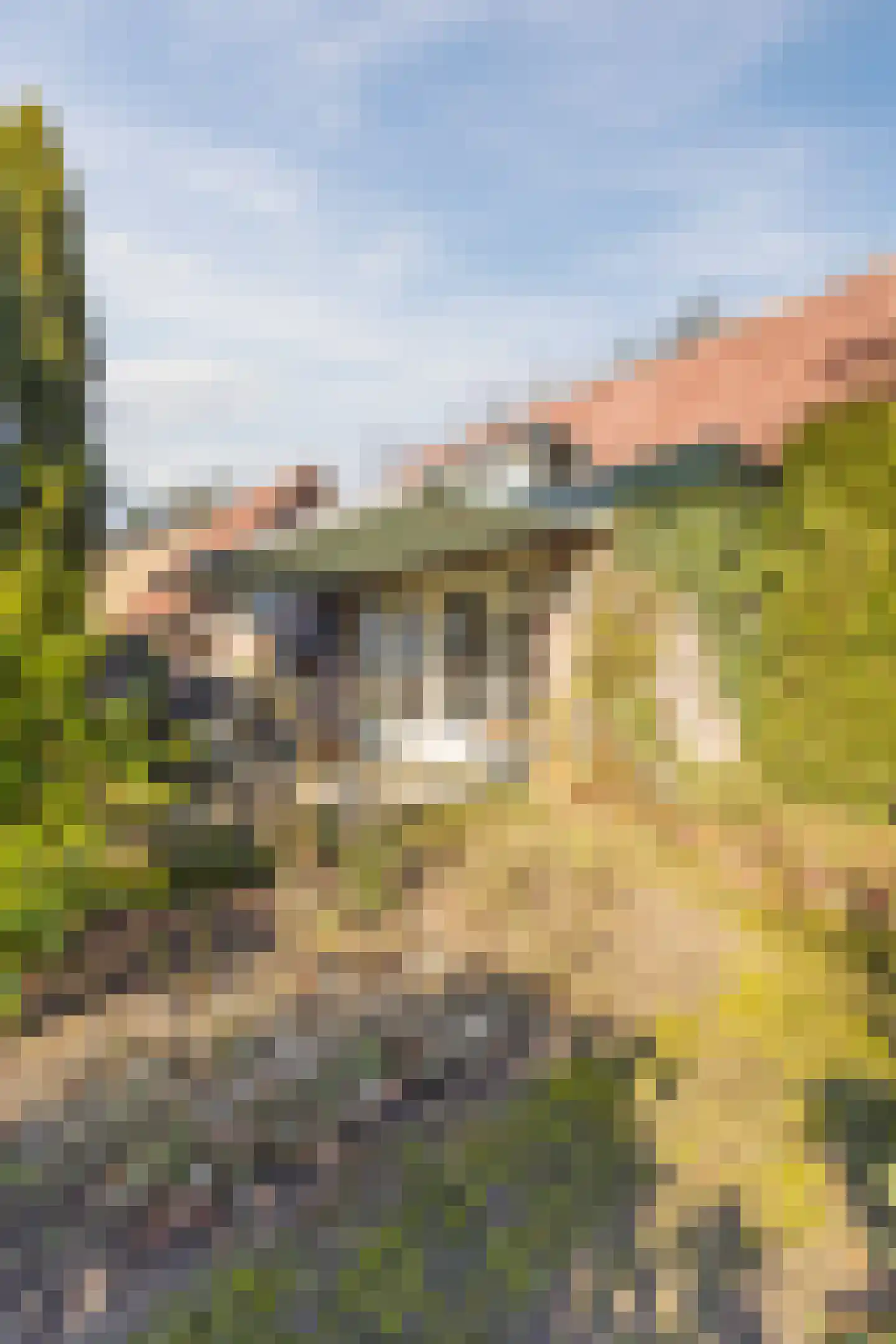 Kon Wilhelminaweg 24 Amerongen thumbnail 76