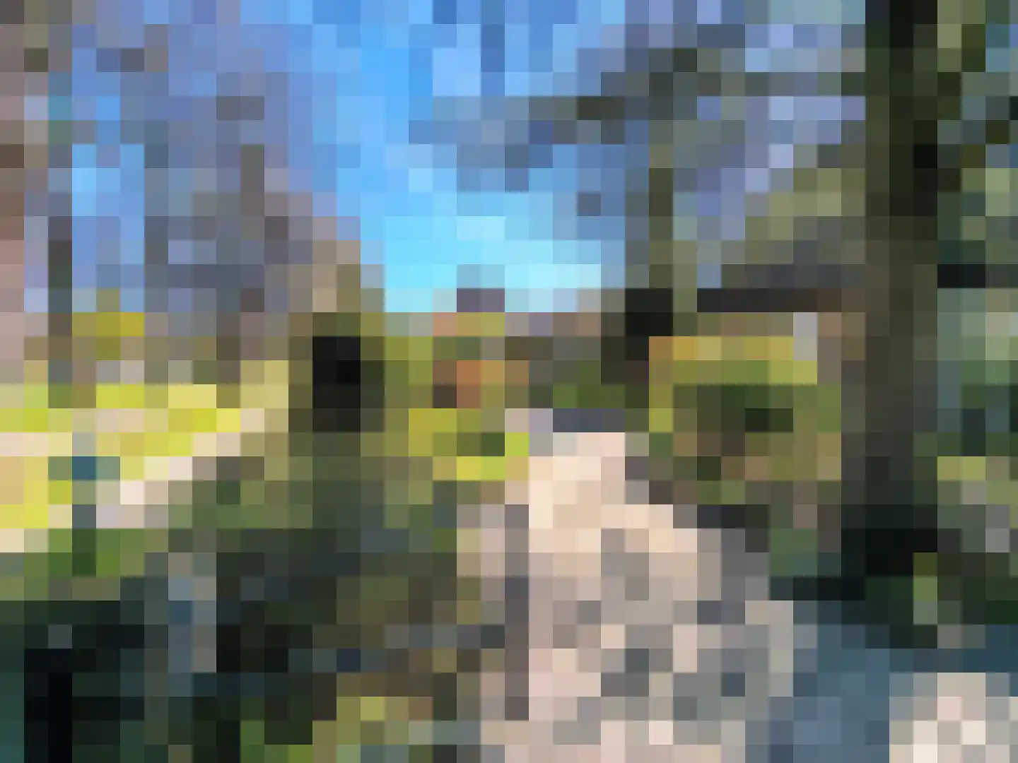 Kon Wilhelminaweg 24 Amerongen thumbnail 77