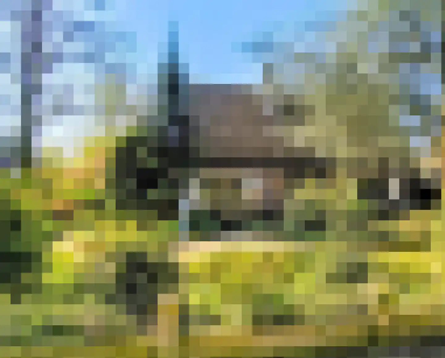 Kon Wilhelminaweg 24 Amerongen thumbnail 79