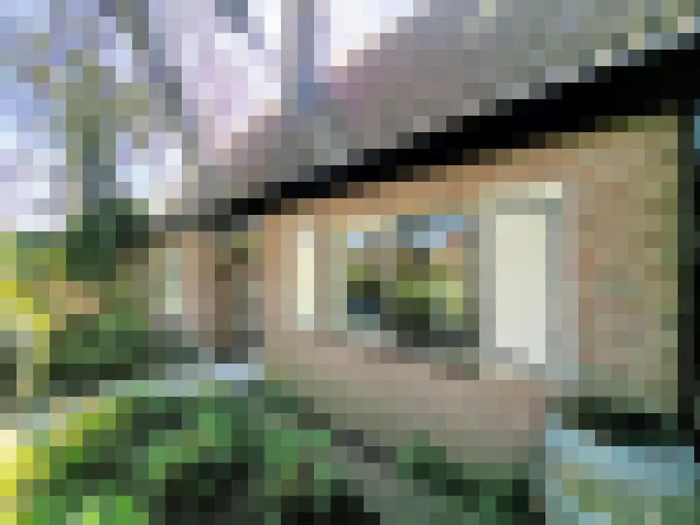 Kon Wilhelminaweg 24 Amerongen thumbnail 80