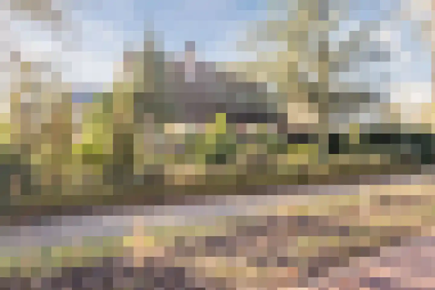 Kon Wilhelminaweg 24 Amerongen thumbnail 82