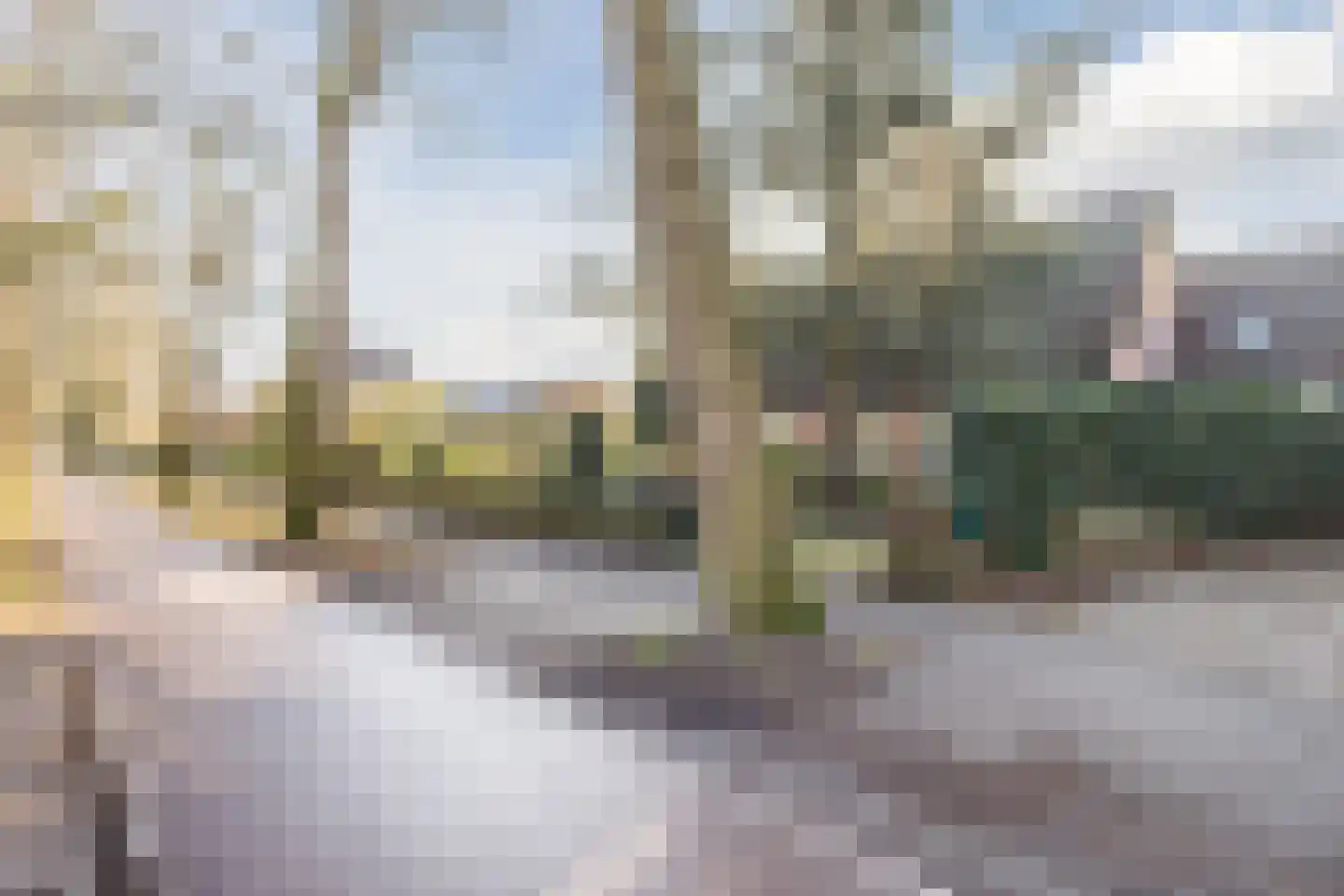 Kon Wilhelminaweg 24 Amerongen thumbnail 83