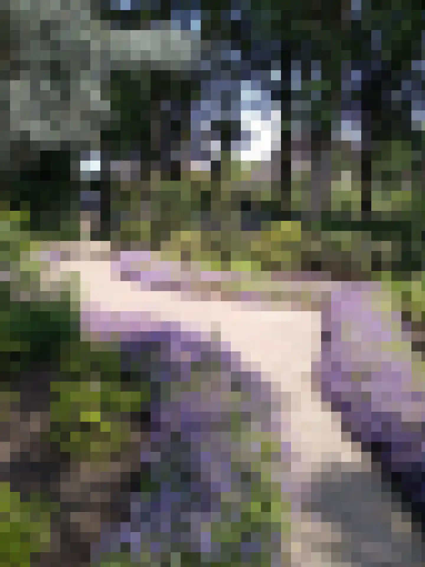 Kon Wilhelminaweg 24 Amerongen thumbnail 87