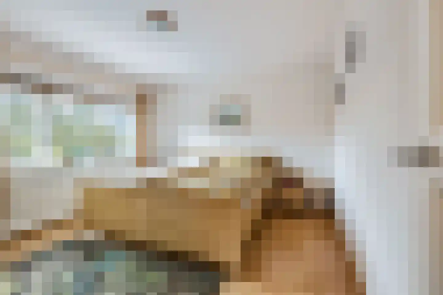 Kon Wilhelminaweg 38 Amerongen thumbnail 17