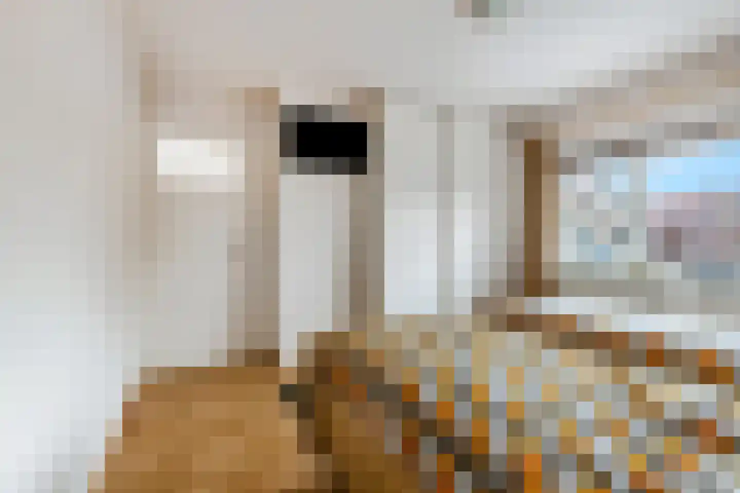 Kon Wilhelminaweg 38 Amerongen thumbnail 18