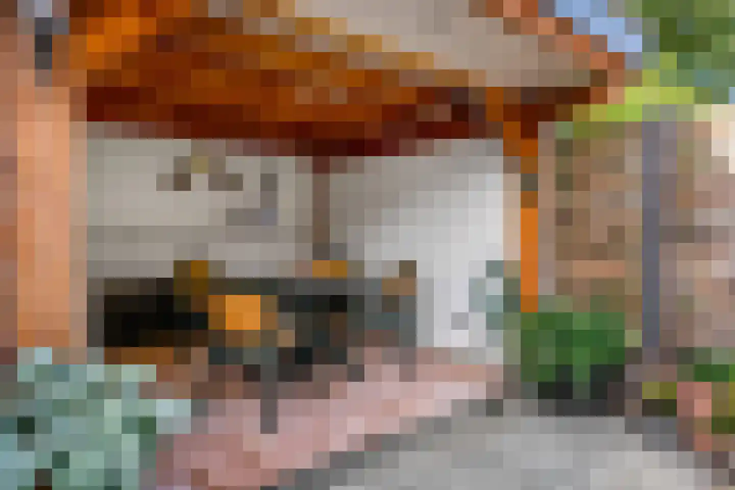 Kon Wilhelminaweg 38 Amerongen thumbnail 33