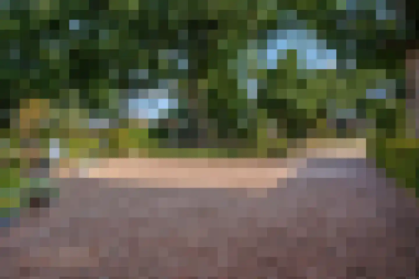 Kon Wilhelminaweg 38 Amerongen thumbnail 37