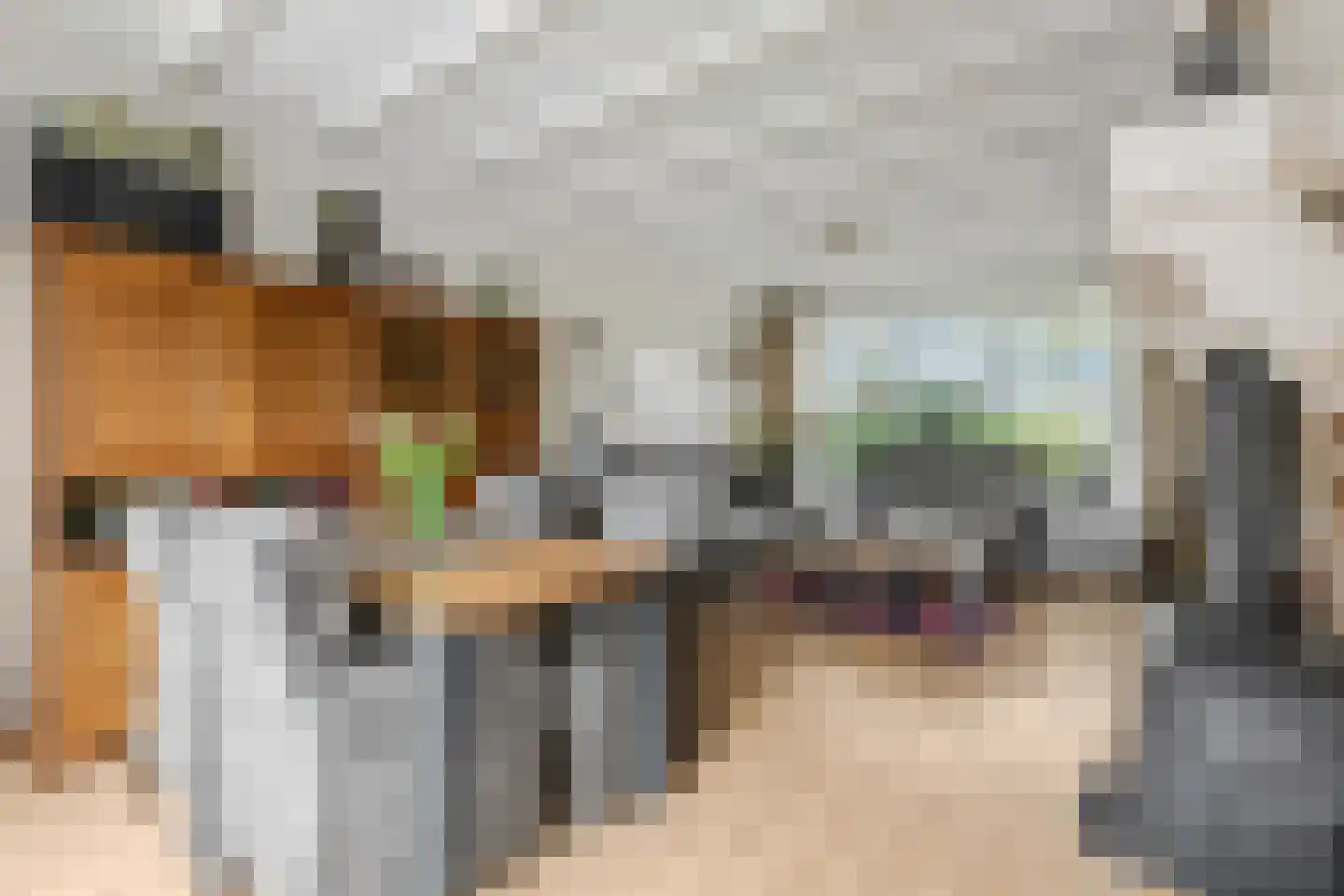 Kon Wilhelminaweg 38 Amerongen thumbnail 6