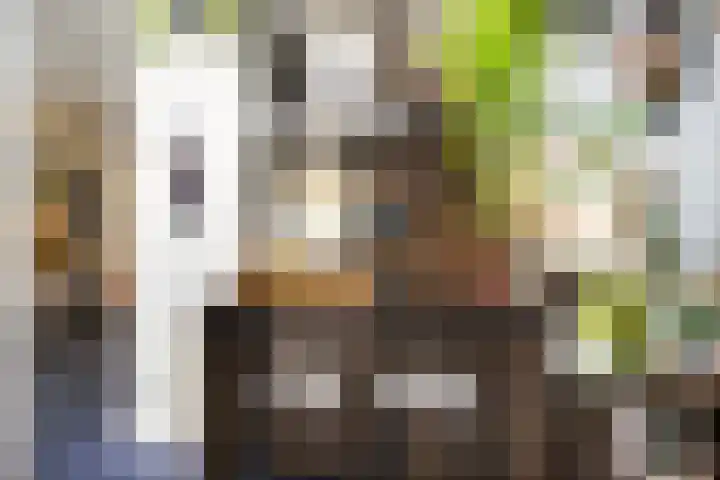 Kon Wilhelminaweg 49 Amerongen thumbnail 12