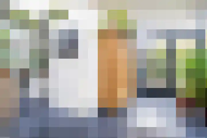 Kon Wilhelminaweg 49 Amerongen thumbnail 13