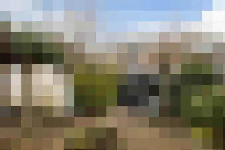 Kon Wilhelminaweg 49 Amerongen thumbnail 34