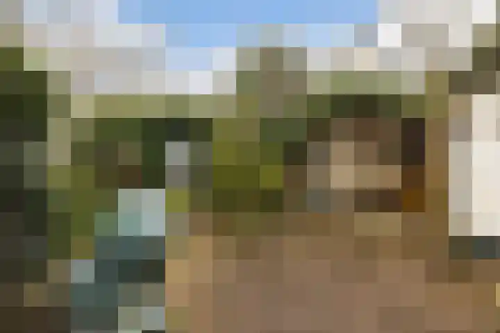 Kon Wilhelminaweg 49 Amerongen thumbnail 35