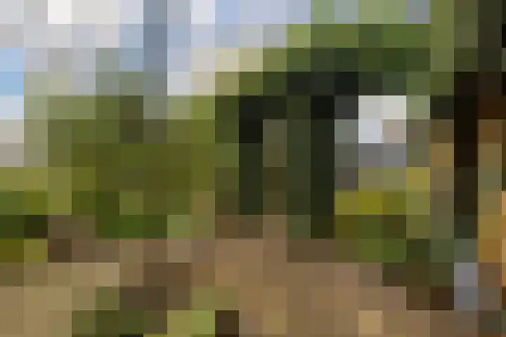 Kon Wilhelminaweg 49 Amerongen thumbnail 36