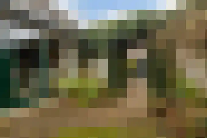 Kon Wilhelminaweg 49 Amerongen thumbnail 38