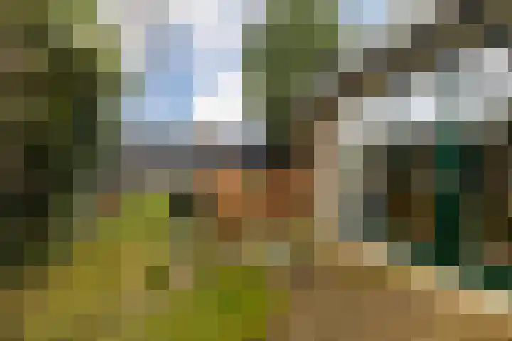 Kon Wilhelminaweg 49 Amerongen thumbnail 44