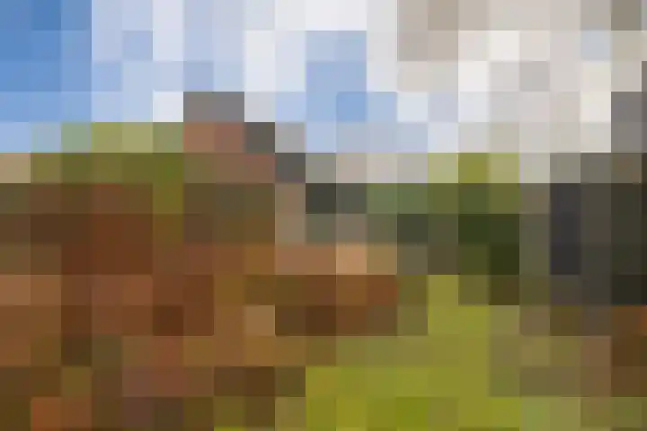 Kon Wilhelminaweg 49 Amerongen thumbnail 45