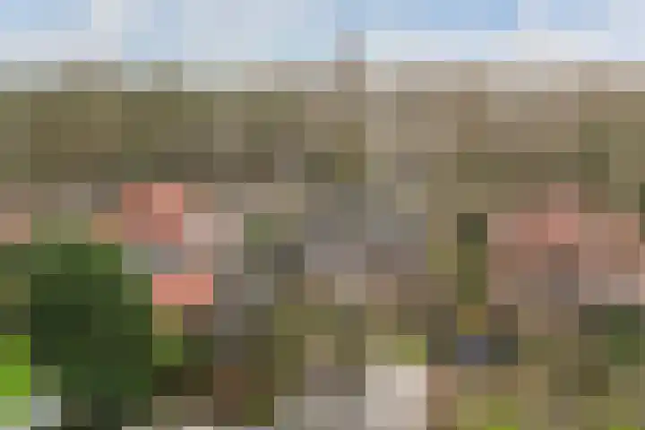 Kon Wilhelminaweg 49 Amerongen thumbnail 47