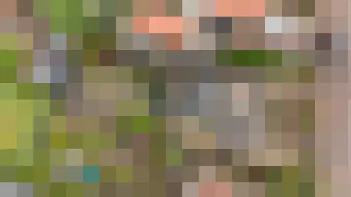 Kon Wilhelminaweg 49 Amerongen thumbnail 48