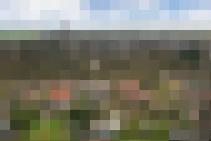 Kon Wilhelminaweg 49 Amerongen thumbnail 49