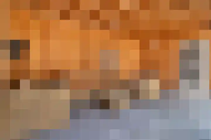 Kon Wilhelminaweg 76 Amerongen thumbnail 29