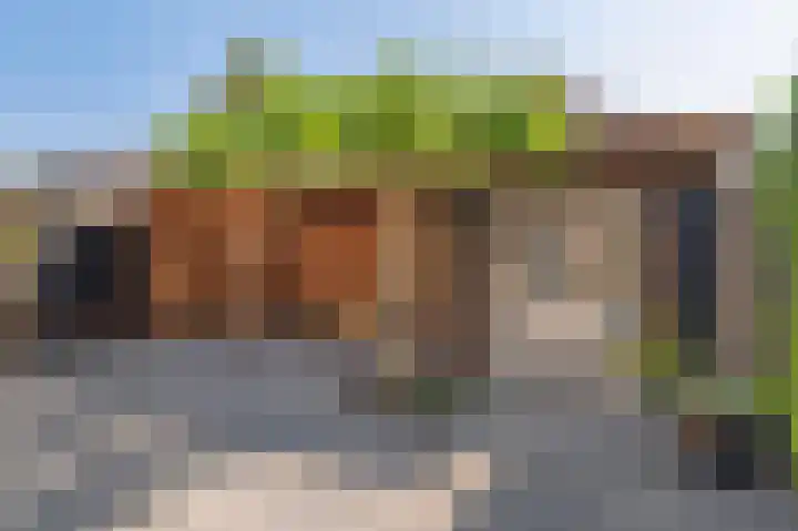 Kon Wilhelminaweg 76 Amerongen thumbnail 30