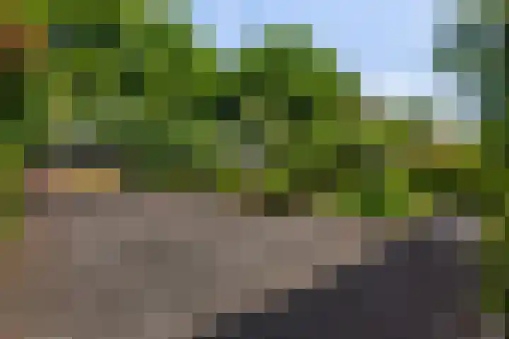 Kon Wilhelminaweg 76 Amerongen thumbnail 32