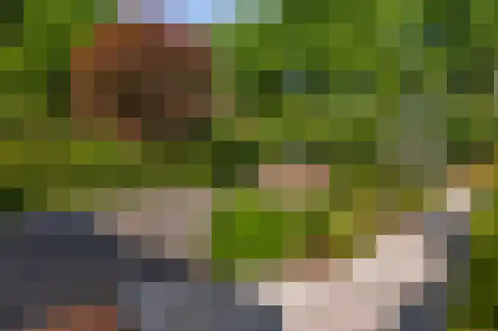 Kon Wilhelminaweg 76 Amerongen thumbnail 33
