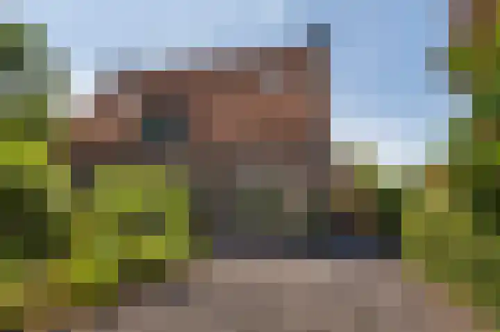 Kon Wilhelminaweg 76 Amerongen thumbnail 35