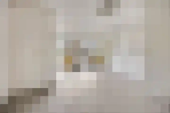 Kon Wilhelminaweg 80 Amerongen thumbnail 18