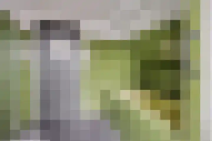Kon Wilhelminaweg 80 Amerongen thumbnail 35