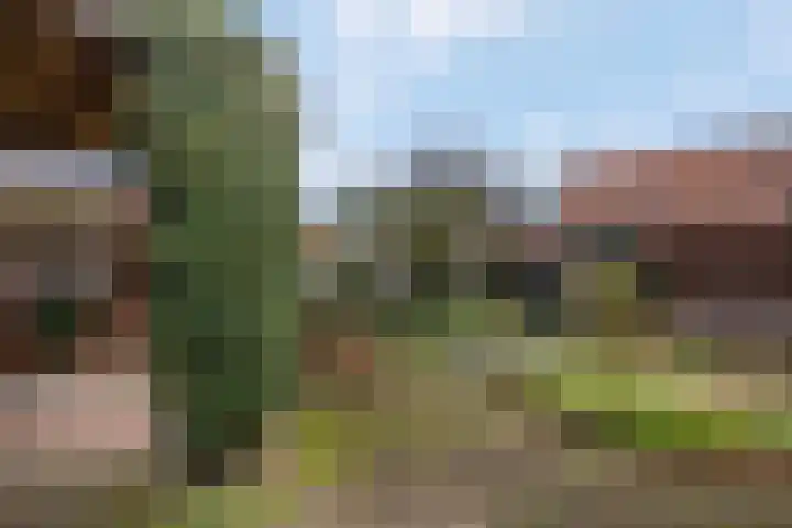 Kon Wilhelminaweg 80 Amerongen thumbnail 36