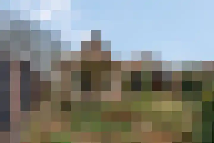 Kon Wilhelminaweg 80 Amerongen thumbnail 4