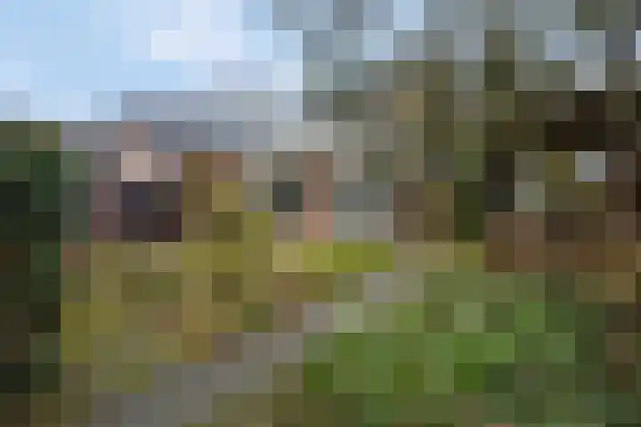 Kon Wilhelminaweg 80 Amerongen thumbnail 41