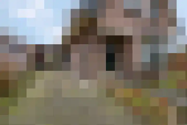 Kon Wilhelminaweg 80 Amerongen thumbnail 44