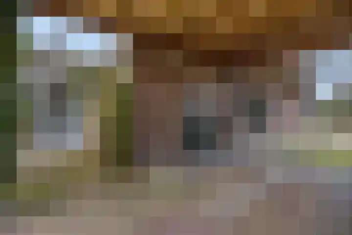 Kon Wilhelminaweg 80 Amerongen thumbnail 45