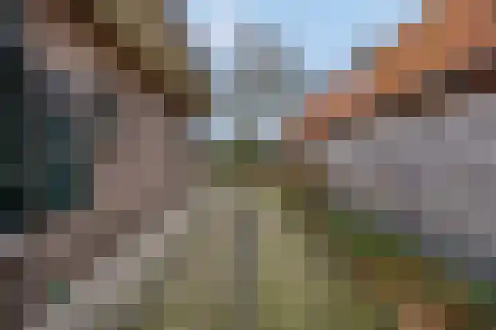 Kon Wilhelminaweg 80 Amerongen thumbnail 47