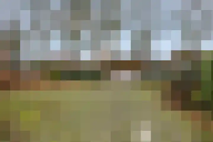Kon Wilhelminaweg 80 Amerongen thumbnail 48