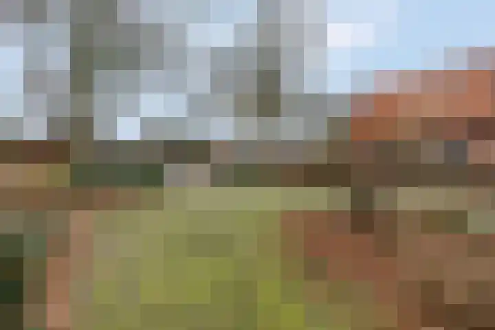Kon Wilhelminaweg 80 Amerongen thumbnail 49