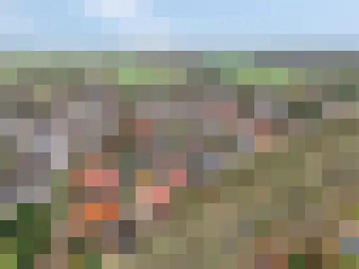 Kon Wilhelminaweg 80 Amerongen thumbnail 51