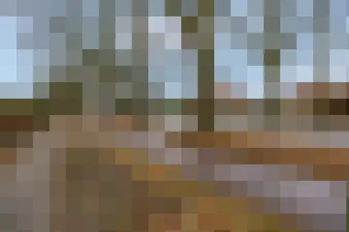 Kon Wilhelminaweg 80 Amerongen thumbnail 54