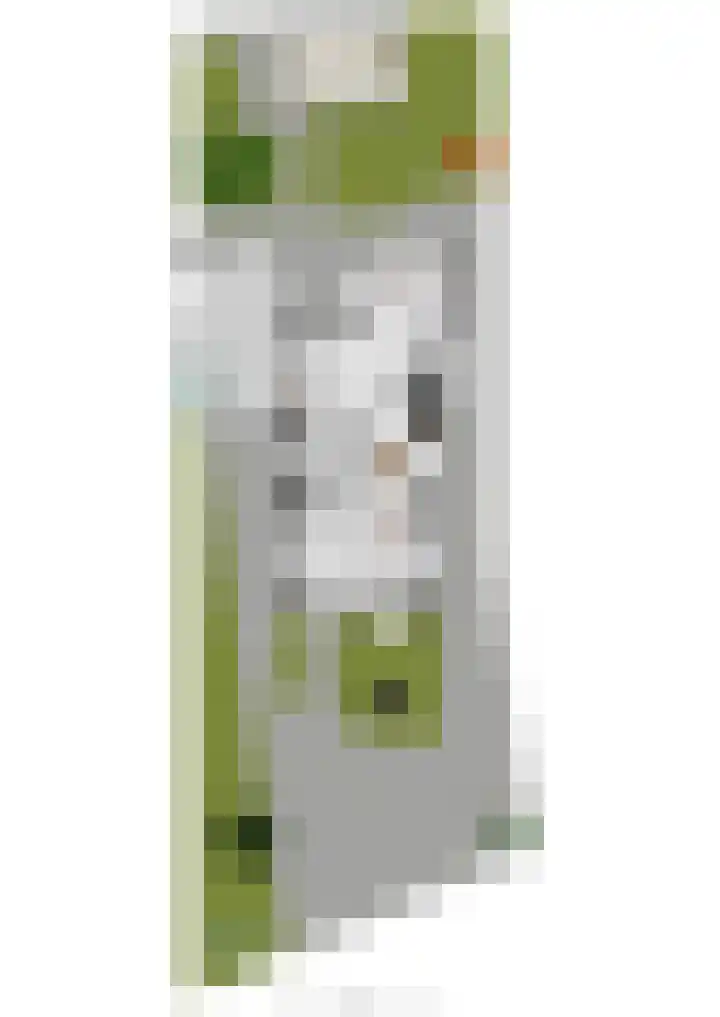 Kon Wilhelminaweg 80 Amerongen thumbnail 55
