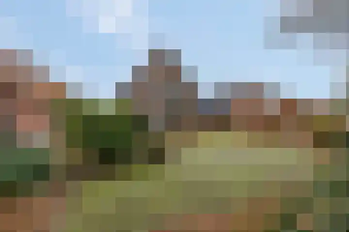 Kon Wilhelminaweg 80 Amerongen thumbnail 6