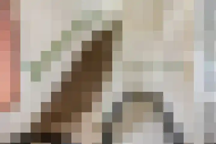Kon Wilhelminaweg 80 Amerongen thumbnail 8