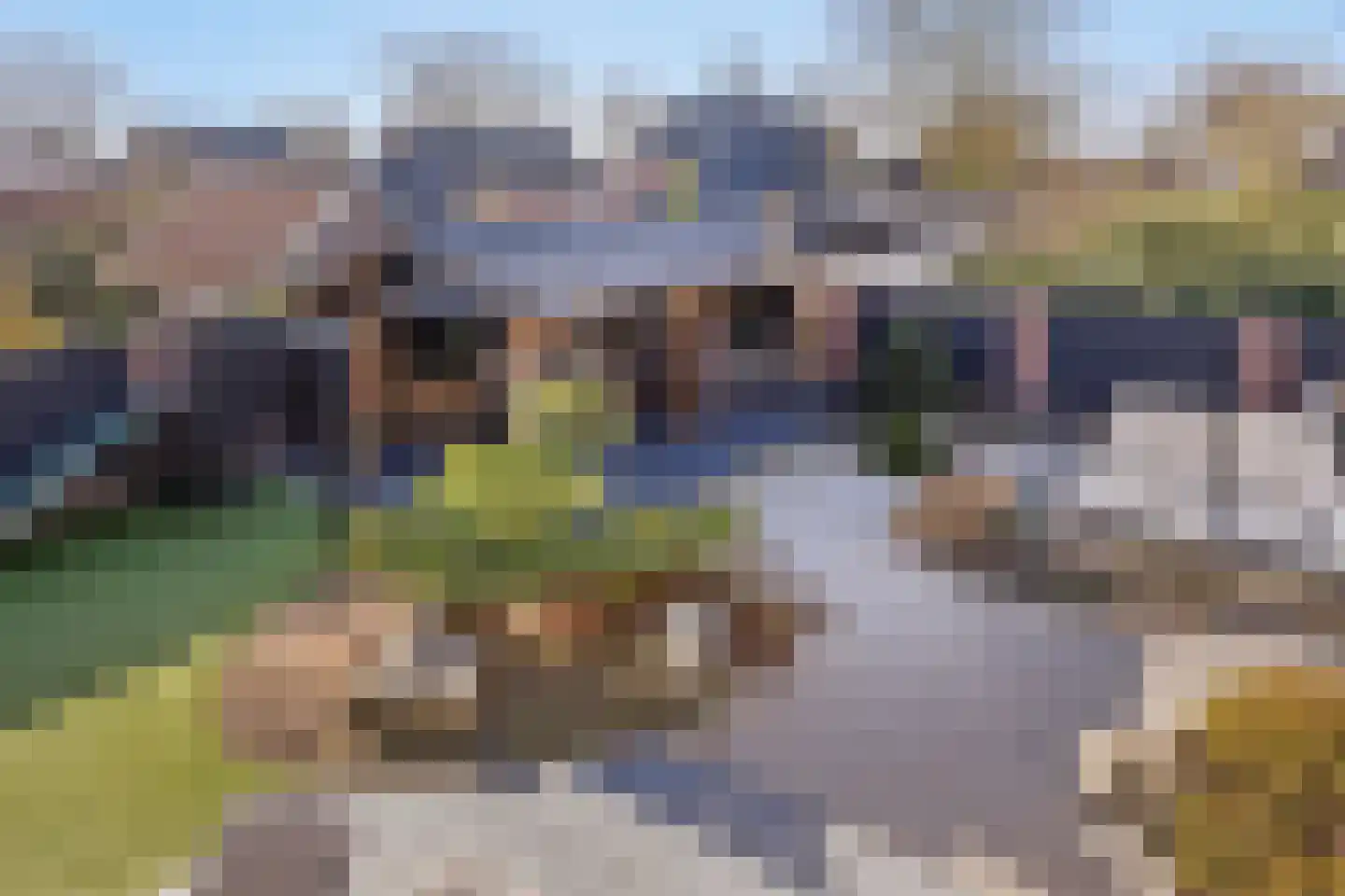 Kon Wilhelminaweg 82 Amerongen thumbnail 26
