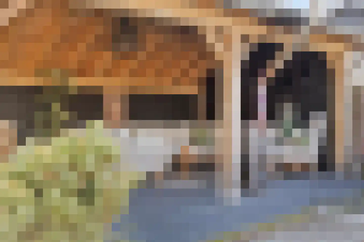Kon Wilhelminaweg 82 Amerongen thumbnail 42